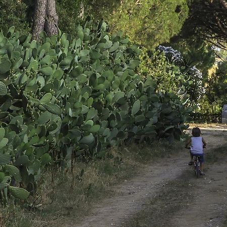 Agriturismo Porta Al Colle Villa Castiglione della Pescaia Esterno foto