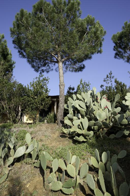 Agriturismo Porta Al Colle Villa Castiglione della Pescaia Esterno foto