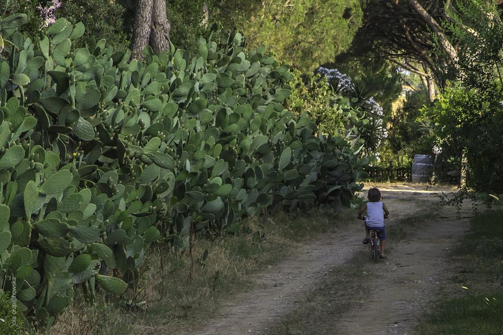 Agriturismo Porta Al Colle Villa Castiglione della Pescaia Esterno foto