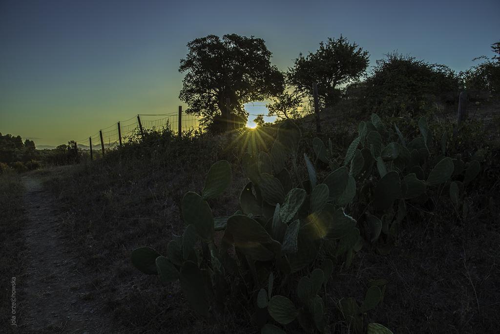 Agriturismo Porta Al Colle Villa Castiglione della Pescaia Esterno foto