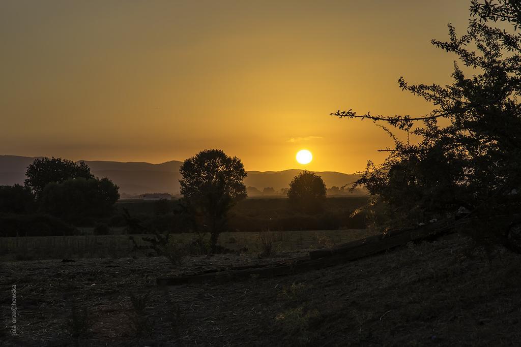 Agriturismo Porta Al Colle Villa Castiglione della Pescaia Esterno foto